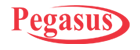 Pegasus International Computer Co. W.L.L.