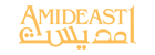America-Mideast Educational and Training Services, Inc. (AMIDEAST) logo