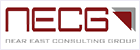 Near East Consulting Group logo