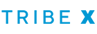 Tribe X Digital logo