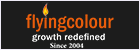 FLYING COLOUR BUSINESS SETUP SERVICES L.L.C logo