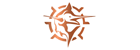 AMIT International Group FZE