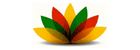 Smart vision technical services LLC 