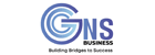 Global Network Solution And Business
