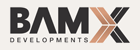 BAMX INVESTMENT L.L.C