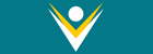 Voice international Technical Services LLC