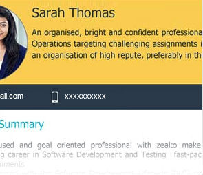 Visual Resume